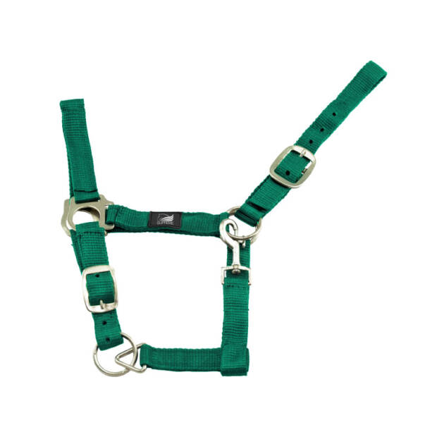 Caveira de nylon com dupla regulagem