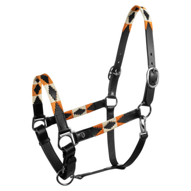 Caveira de couro com decorações Navajo