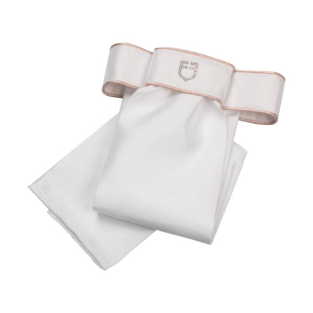 Plastron de adestramento com logotipo e strass
