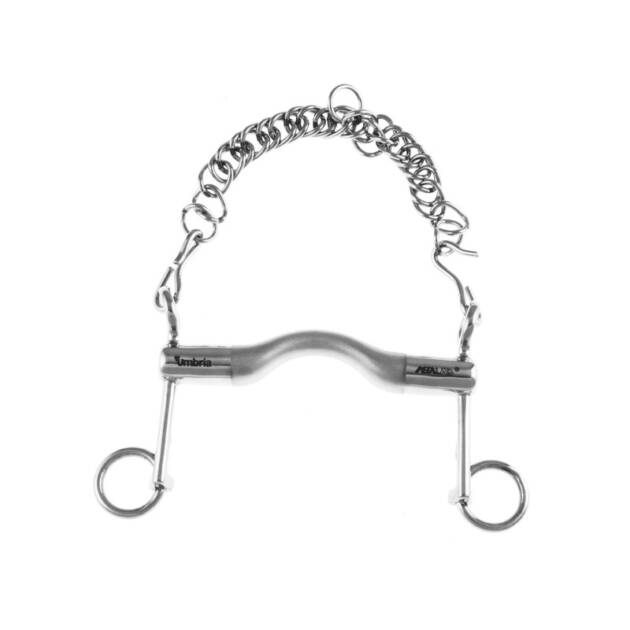 Mors dressage hastes curtas acetinado pro bits