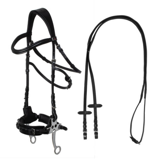 Bridão com hackamore